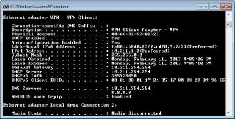 Image 0 for VPN Gate Client Plug-in w…
